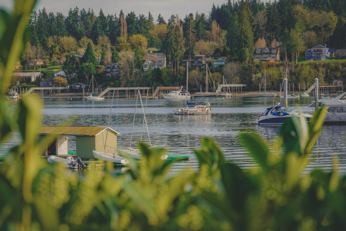 photo taken while walking along the waterfront on a day trip to Bainbridge Island
