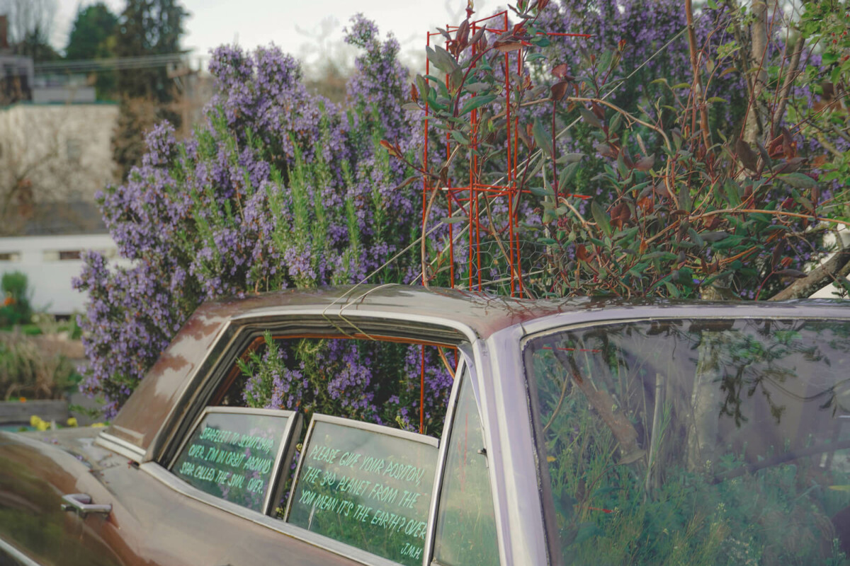 flowers bursting from a car at a community garden, one of the most unique places to visit in Seattle Center