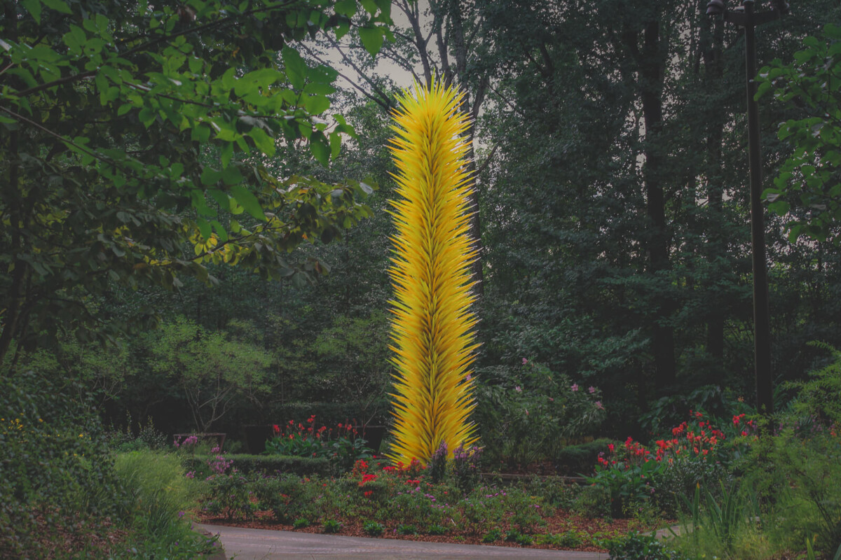 Radiant Yellow Icicle Tower, a bright yellow spot (and Chihuly sculpture) in the forested Glade Garden