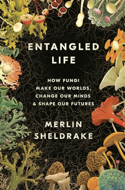 Entangled Life book cover