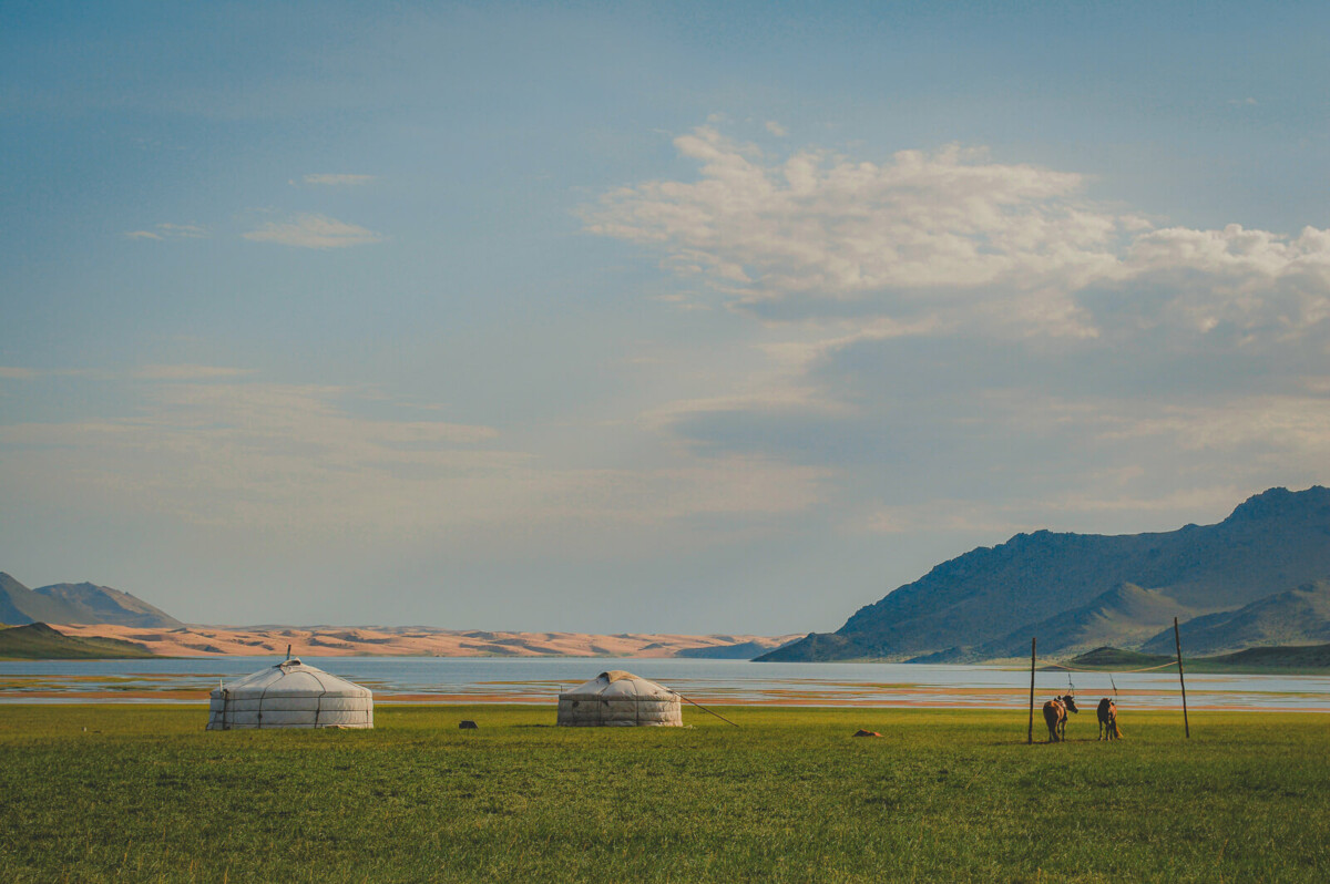 scenic landscape of steppes in Mongolia to show the setting of The Cave Of The Yellow Dog, one of the films on our cottagecore watchlist