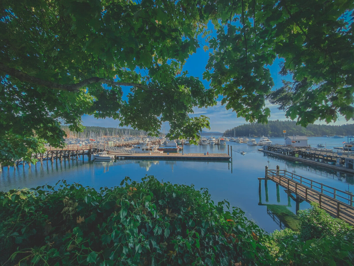 Friday Harbor, one of the best named cottagecore towns in the US