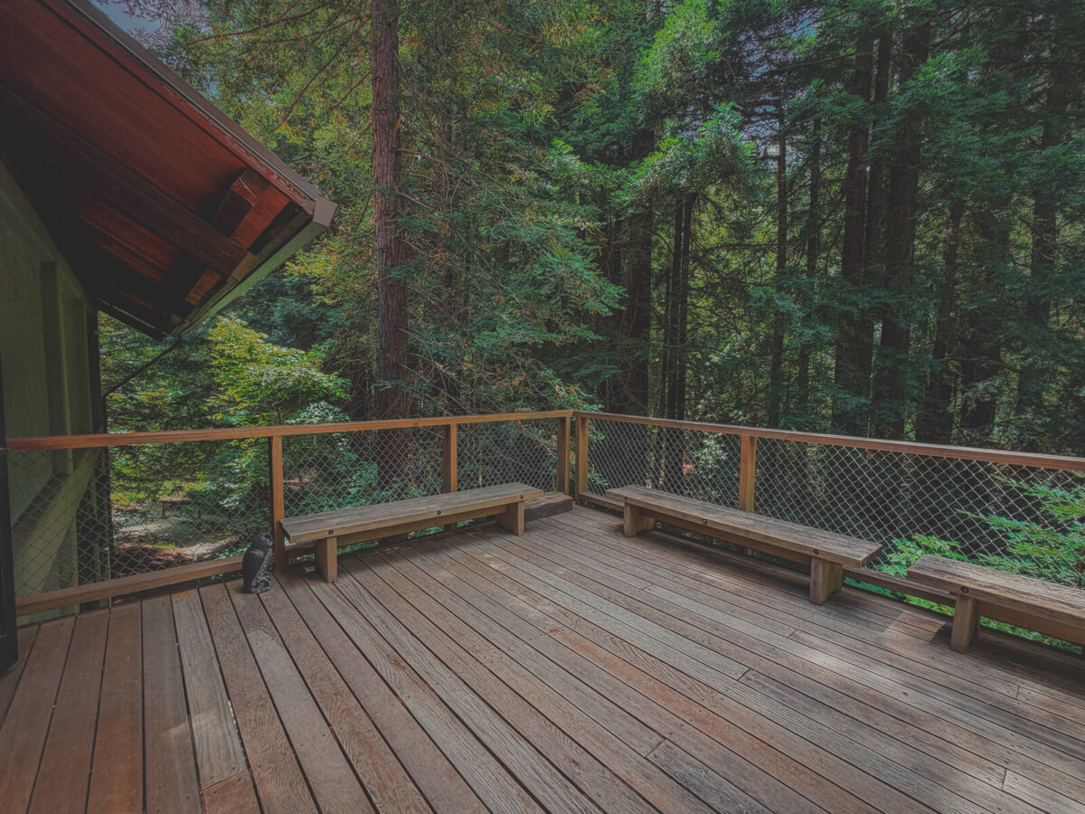 Mill Valley Library deck with view of second-growth redwood trees